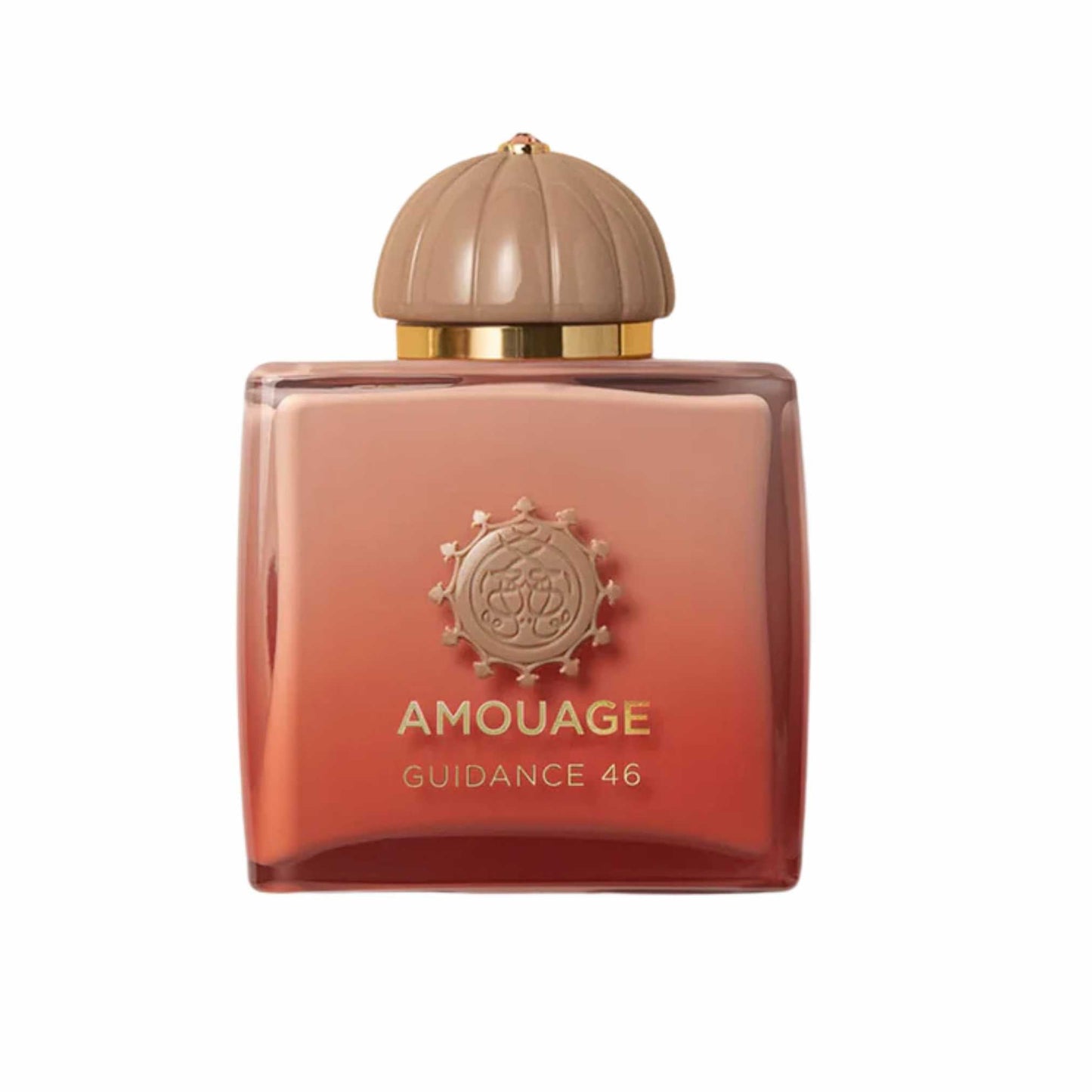Amouage Guidance 46 Extrait de Parfum 100ml