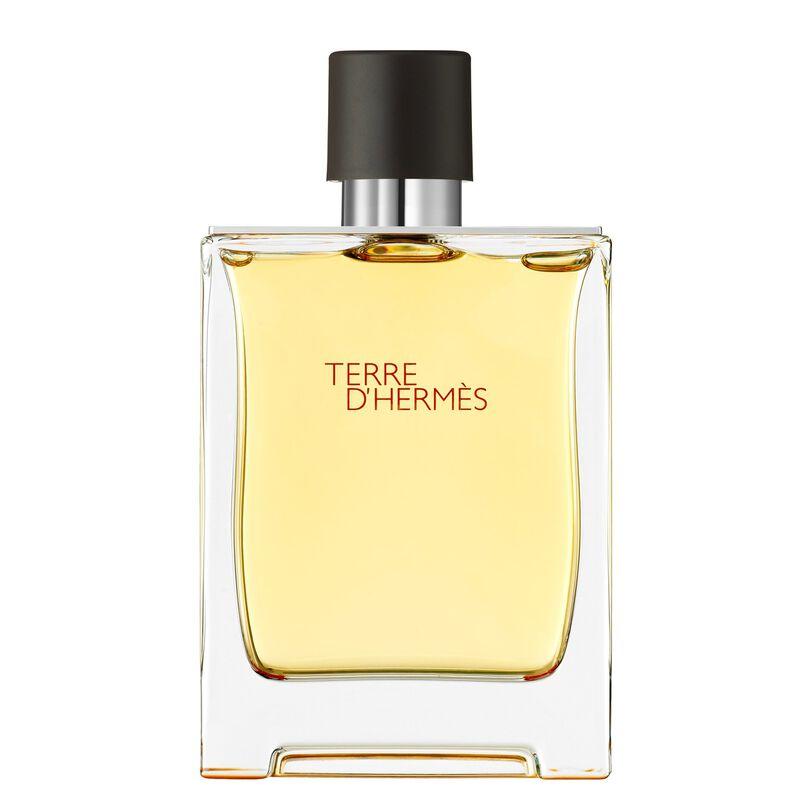 Hermes Terre d’Hermes Eau de Toilette Spray for Men